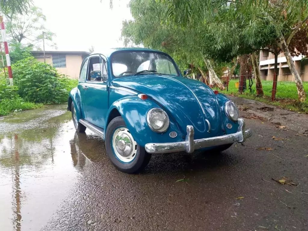 Volkswagen Beetle 1965 - Vintage Car