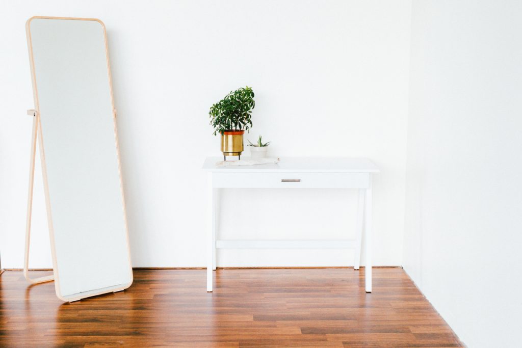 standing mirror with plant setting