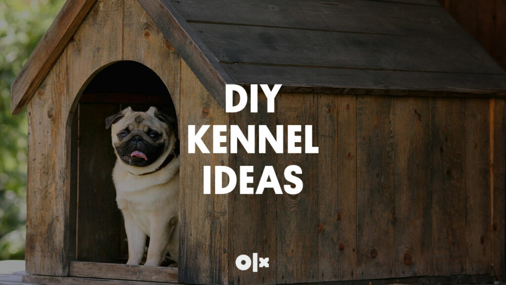 Kennel-Ideas-featured-image