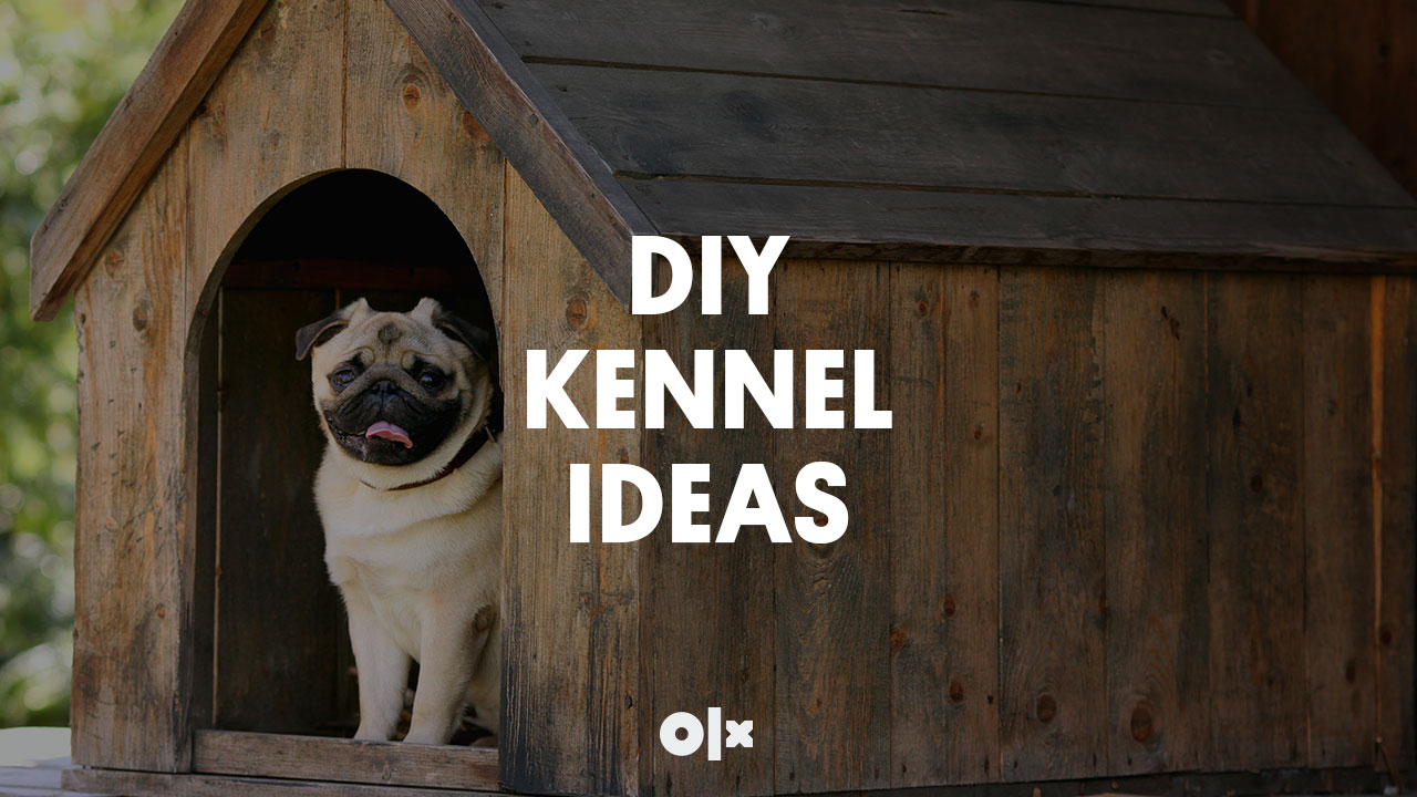 Do It Yourself Kennel Ideas