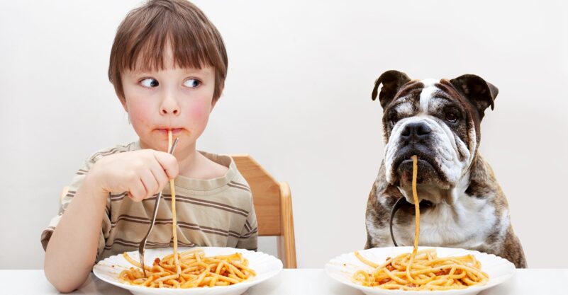 10 Human Foods That Shouldn’t Be Used as Dog Food