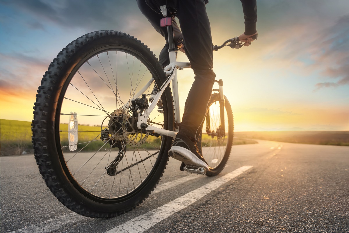 Spokes & Styles: Exploring the Types of Bicycles